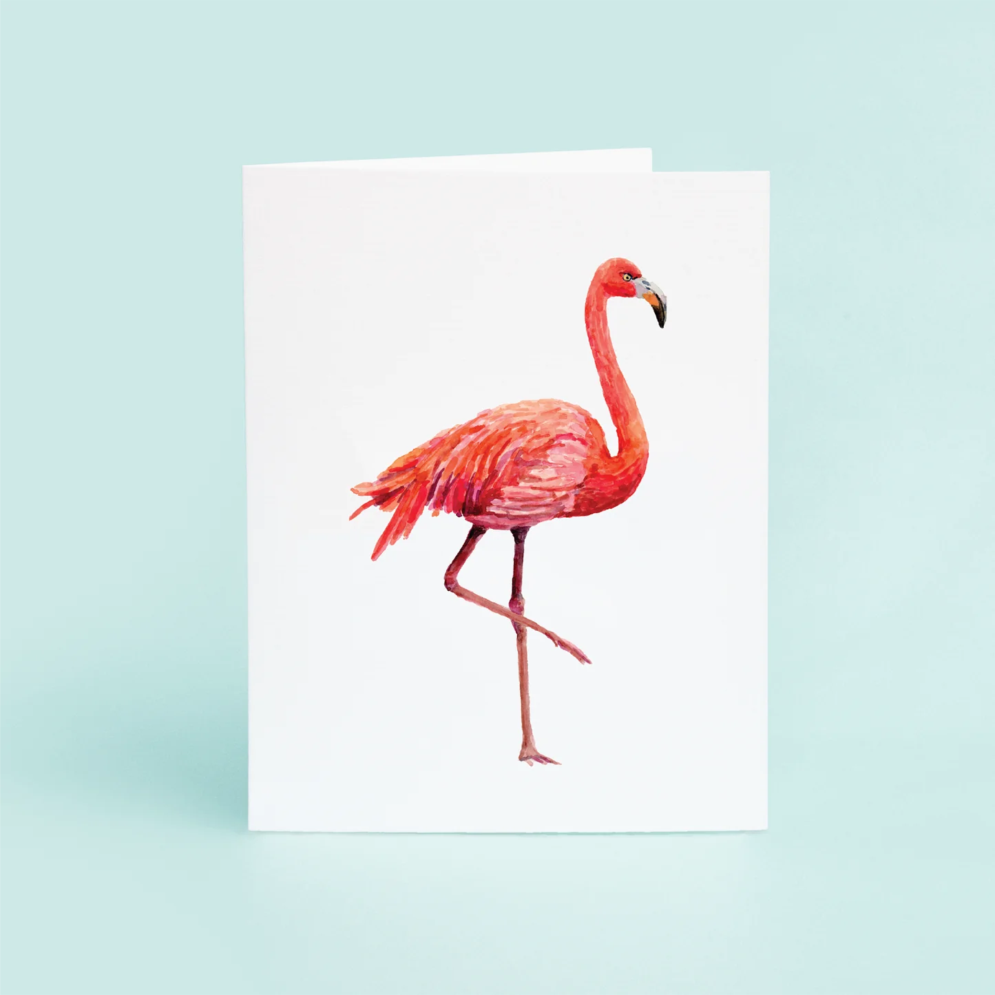 Flamingo Boxed Card Set