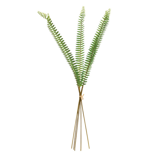 Sword Fern Bundle - 27"