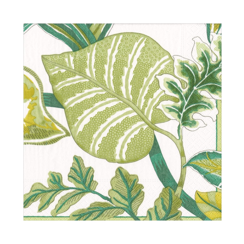Florida-Ivory Napkin Luncheon