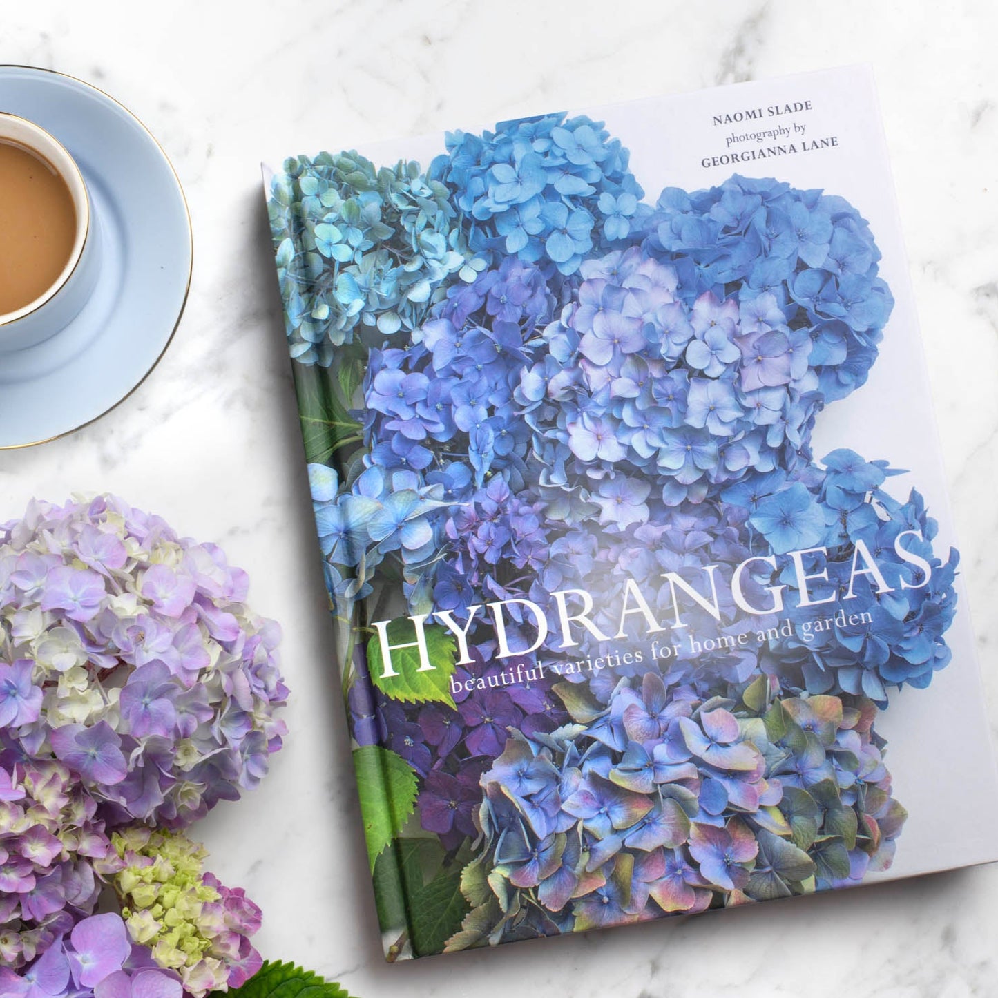 Hydrangeas - Beautiful Varieties for Home and Garden