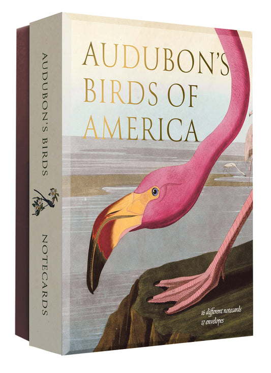 Audubon's Birds of America: An Abbeville Notecard Set