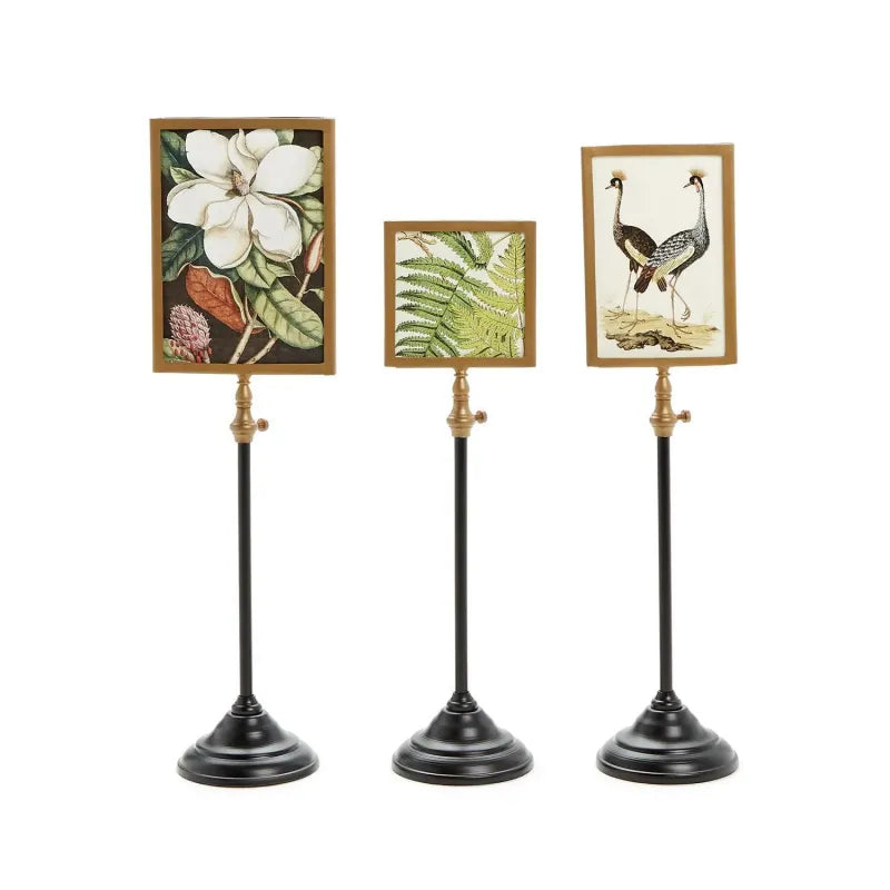 Telescopic Vision Double sided Photo Frame