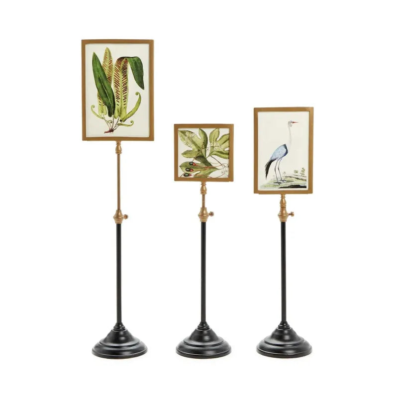 Telescopic Vision Double sided Photo Frame