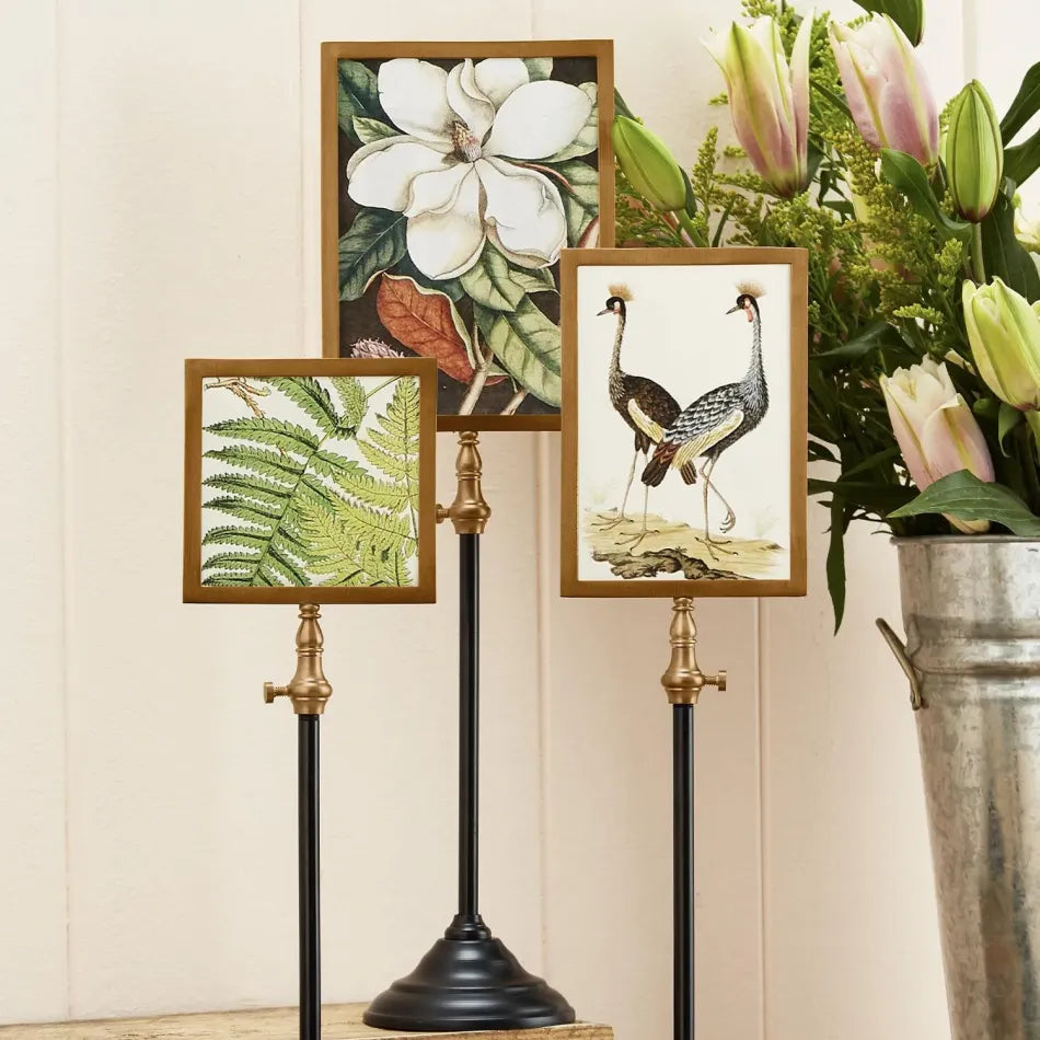 Telescopic Vision Double sided Photo Frame
