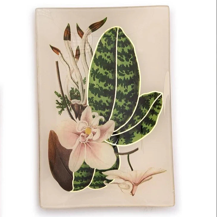 Butterfly and Botanical Glass Trinket Tray with Gold Foil Back