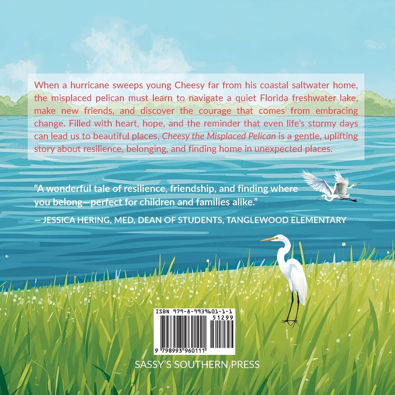 Cheesy the Misplaced Pelican
