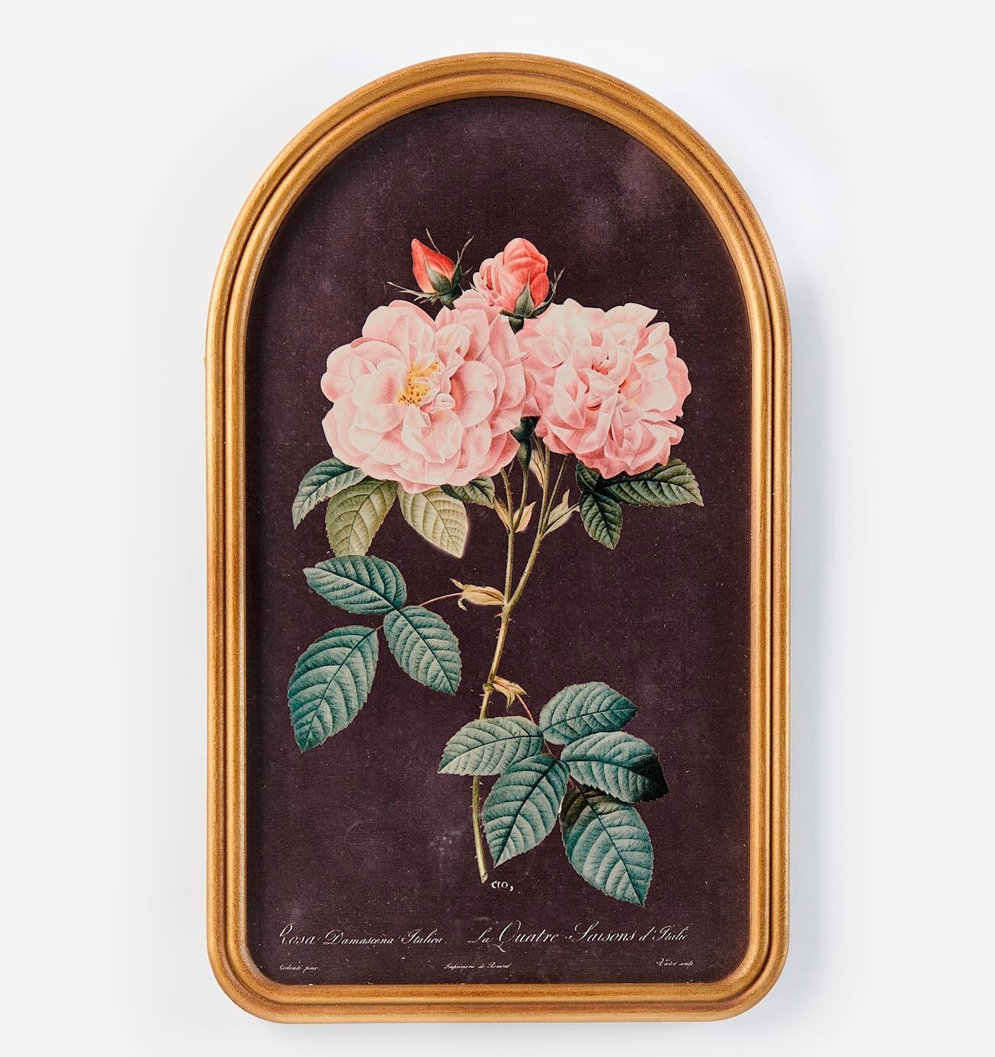 Framed Flower Design Wall Print arched