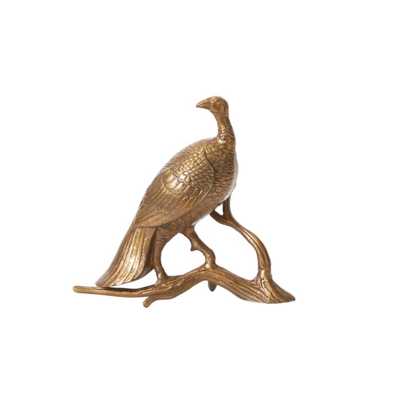 Merriam Turkey Hen