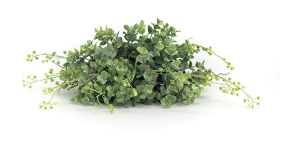 Boxwood Half Orb