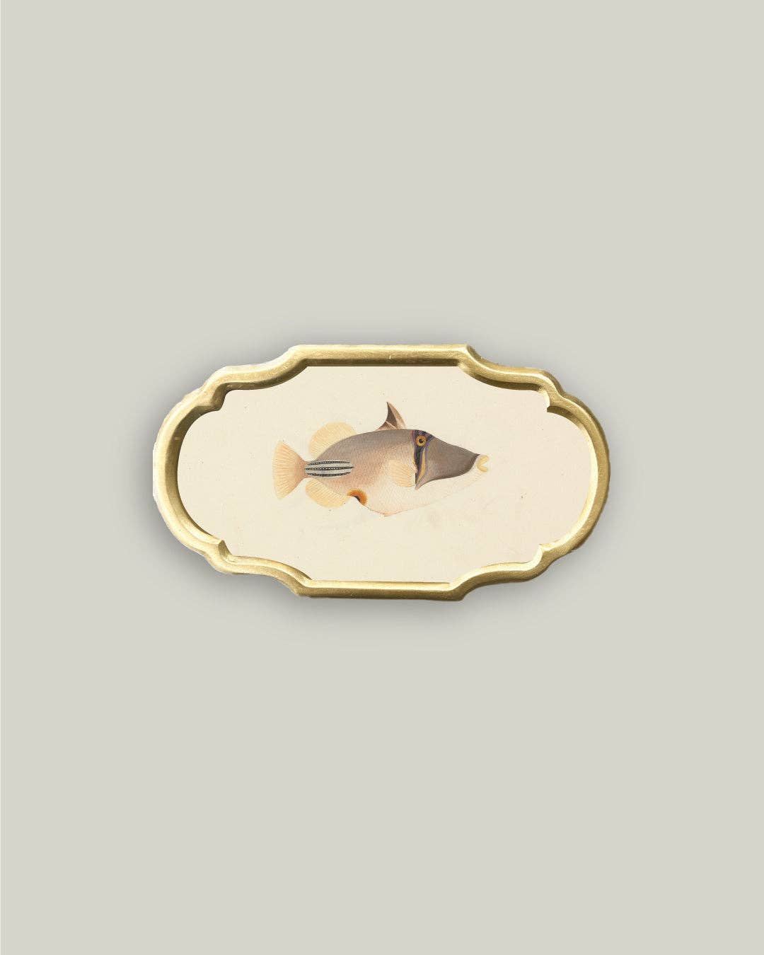 Priacanthus in Ornate Frame 5X9