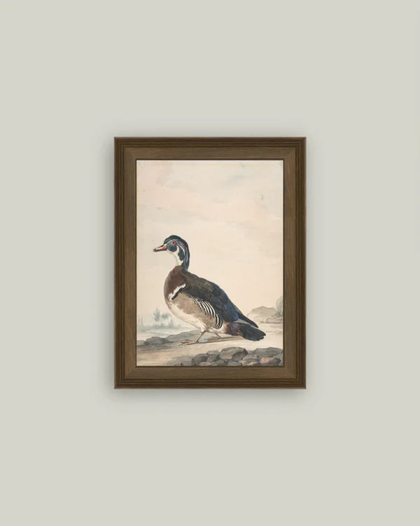 A Duck 12x18