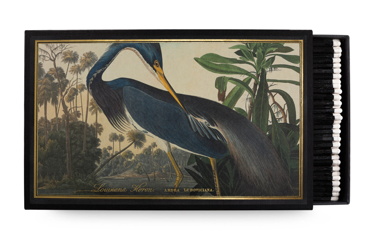 Giant Match Box-Louisiana Heron