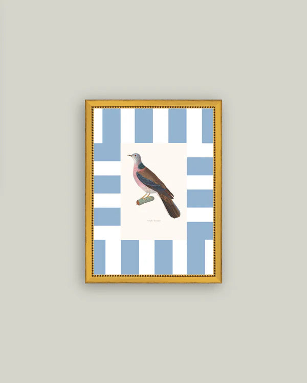 Colored Dove 11x15