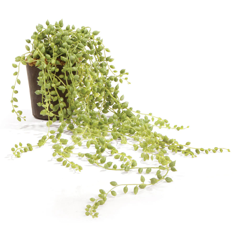 STRING OF PEARLS DROP-IN 17"