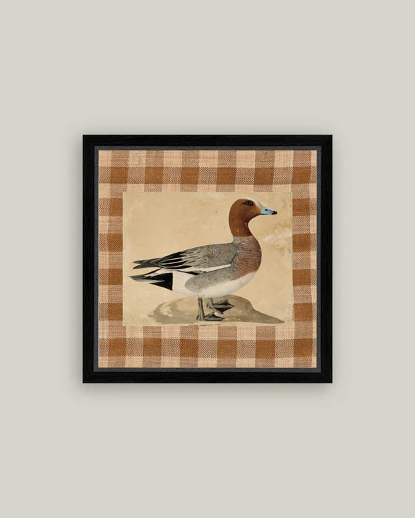 Eurasian Wigeon 15x15