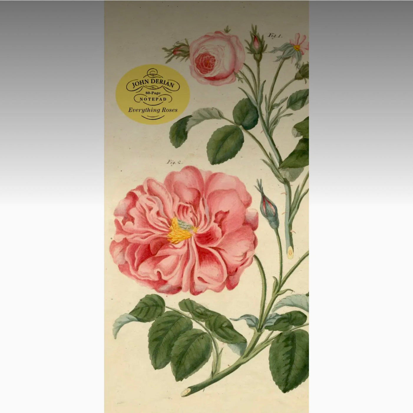 John Derian Paper Goods: Everything Roses Notepad