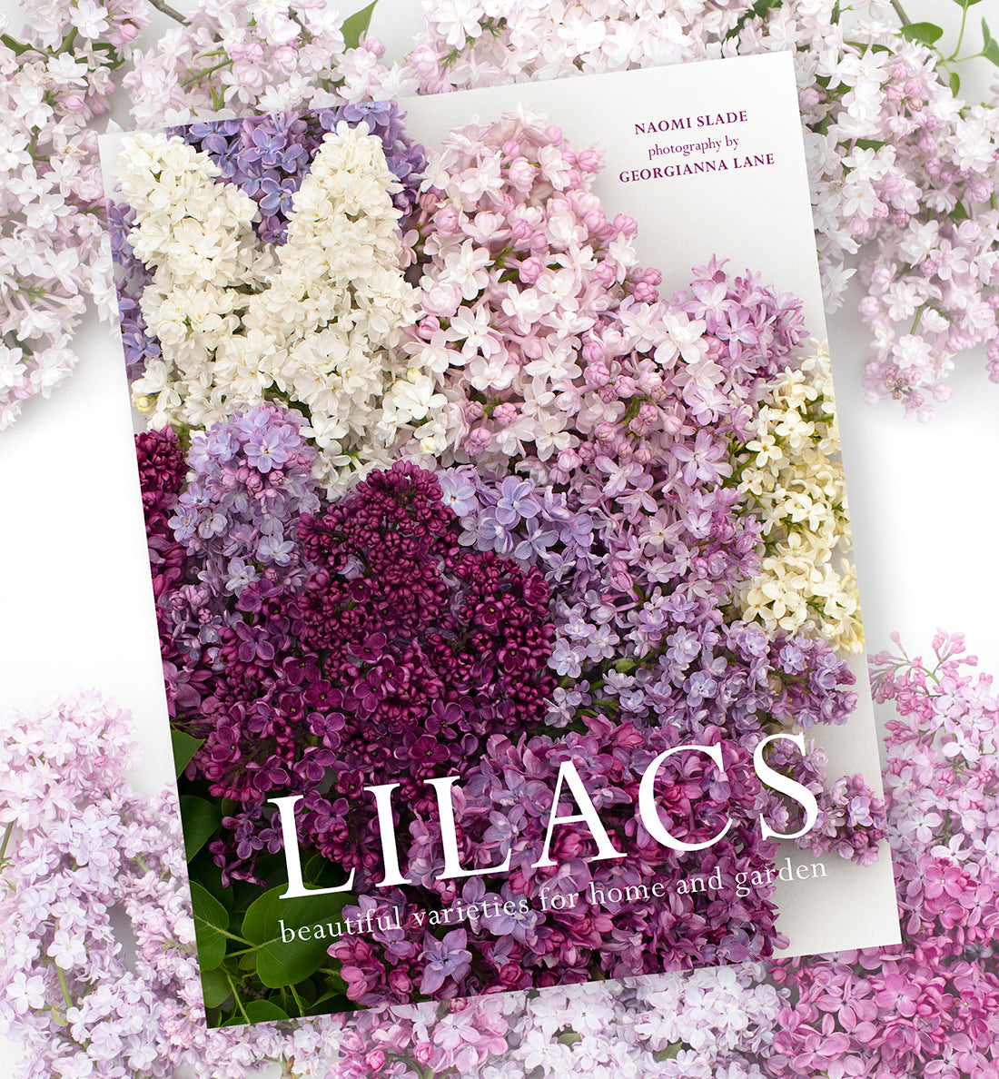 Lilacs: Beautiful Varieties for Home and Garden