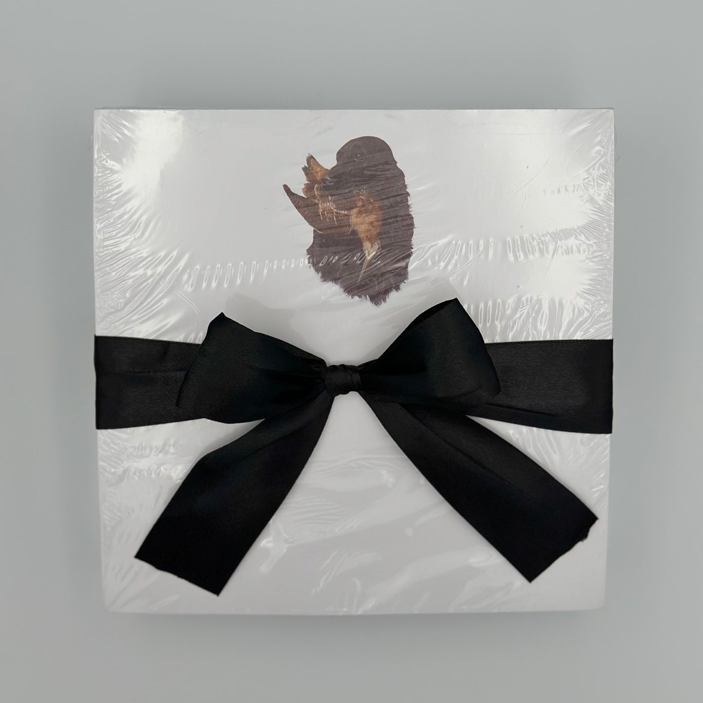 English Cocker Spaniel Large Notepad