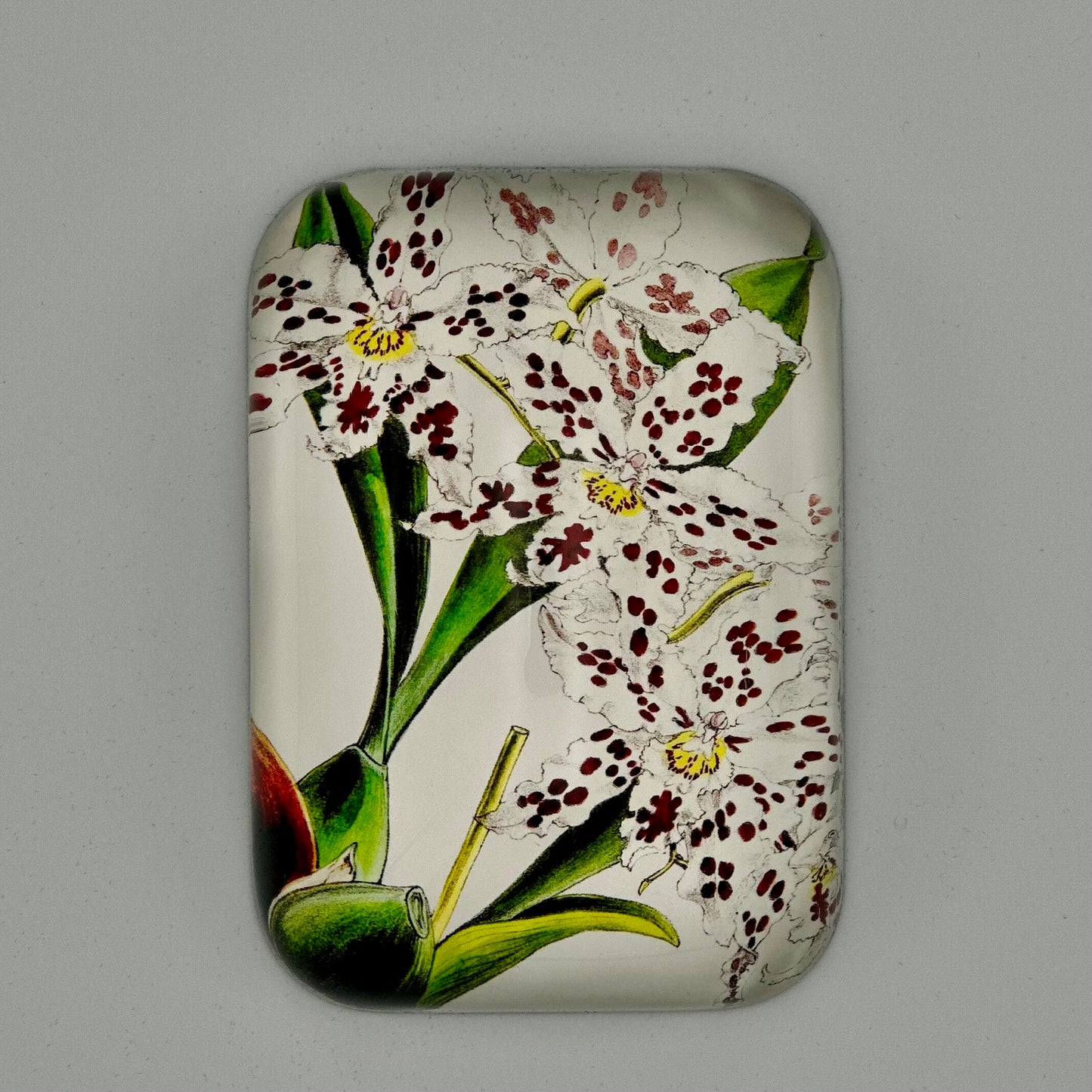 Spotted Orchid Square Paperweight