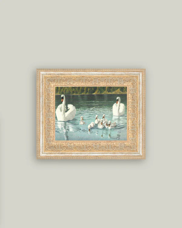 Swan Family 12x10