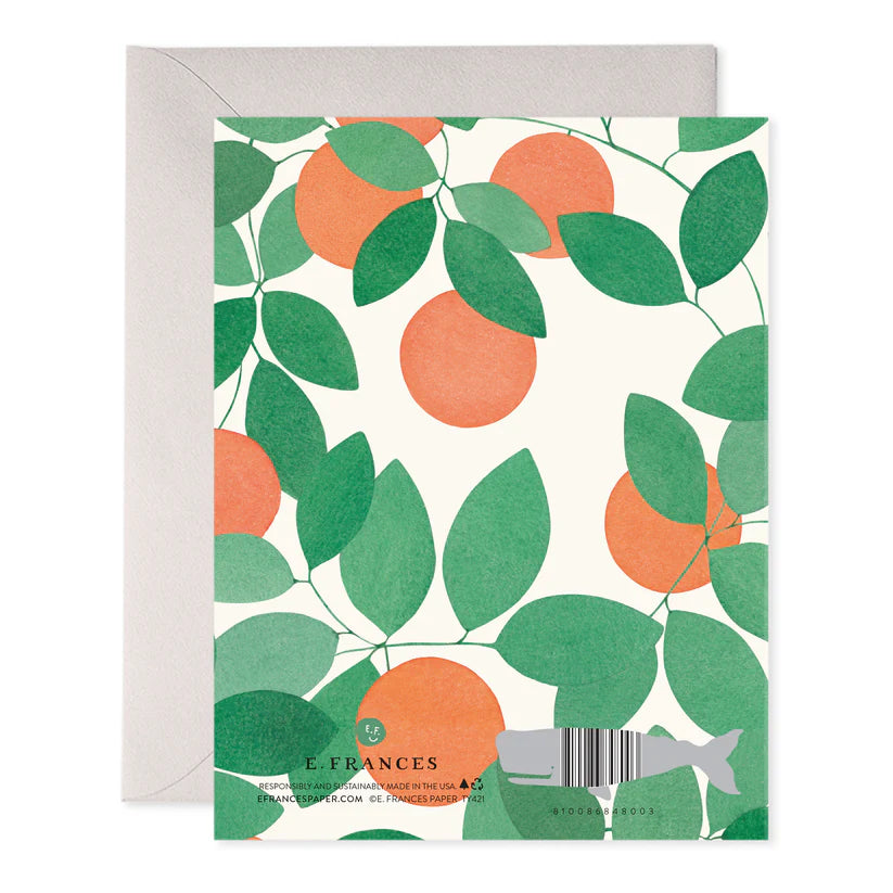 Orange Grove Thank You Boxed Set 6