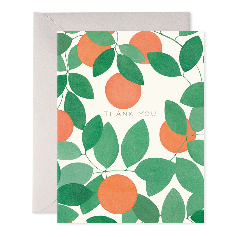 Orange Grove Thank You Boxed Set 6