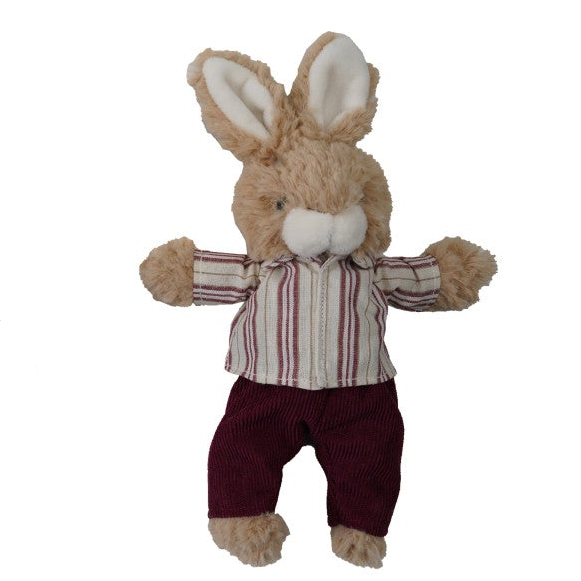 Plush Bunny in Clothes