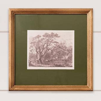Framed Print - Olive Matted Tree Sketch