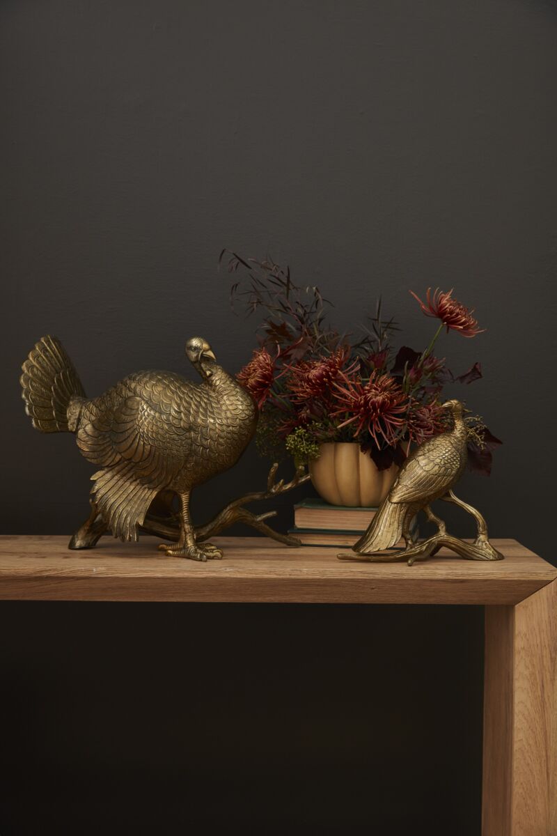 Merriam Turkey Hen
