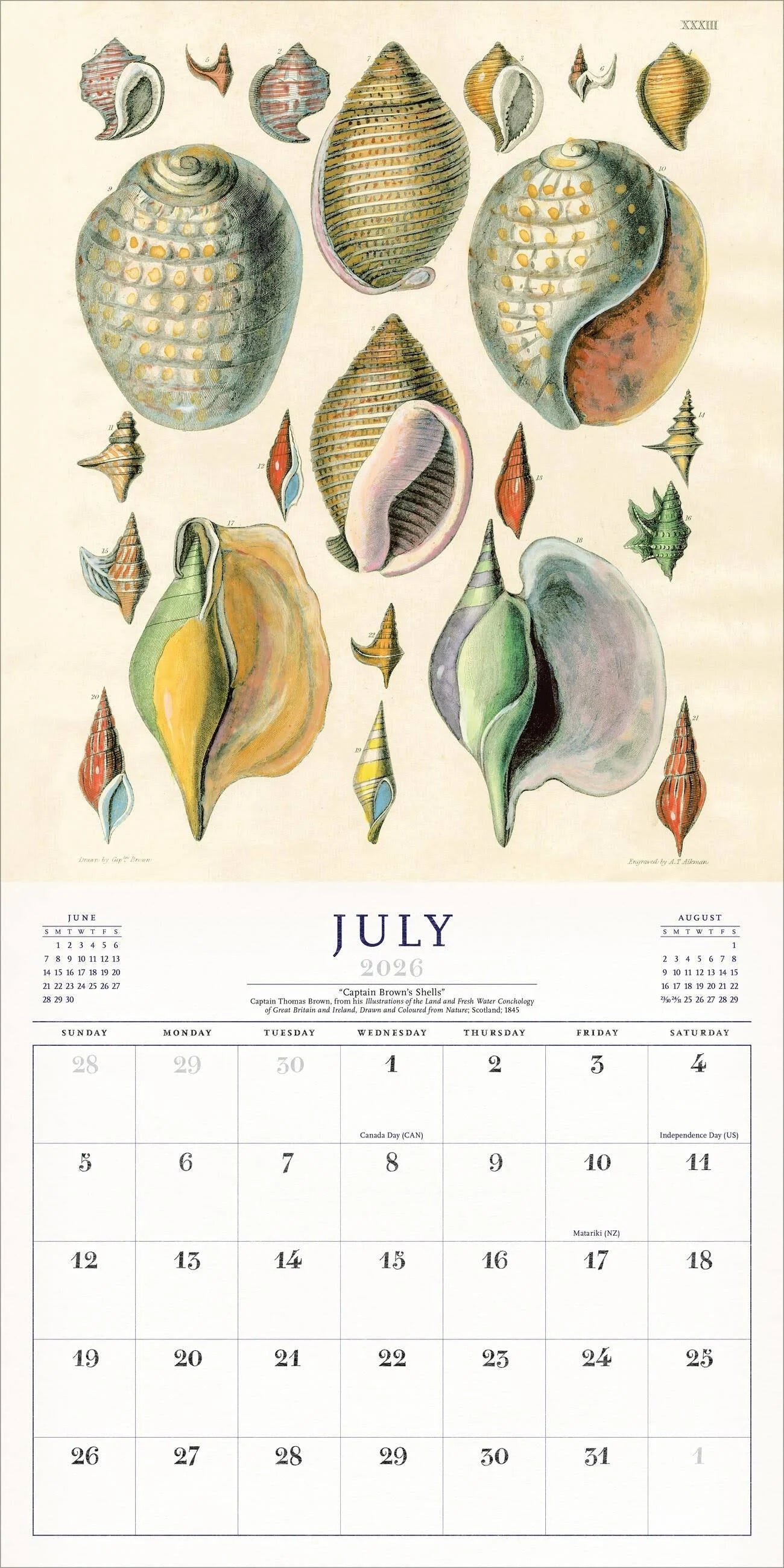 World of John Derian Wall Calendar 2026