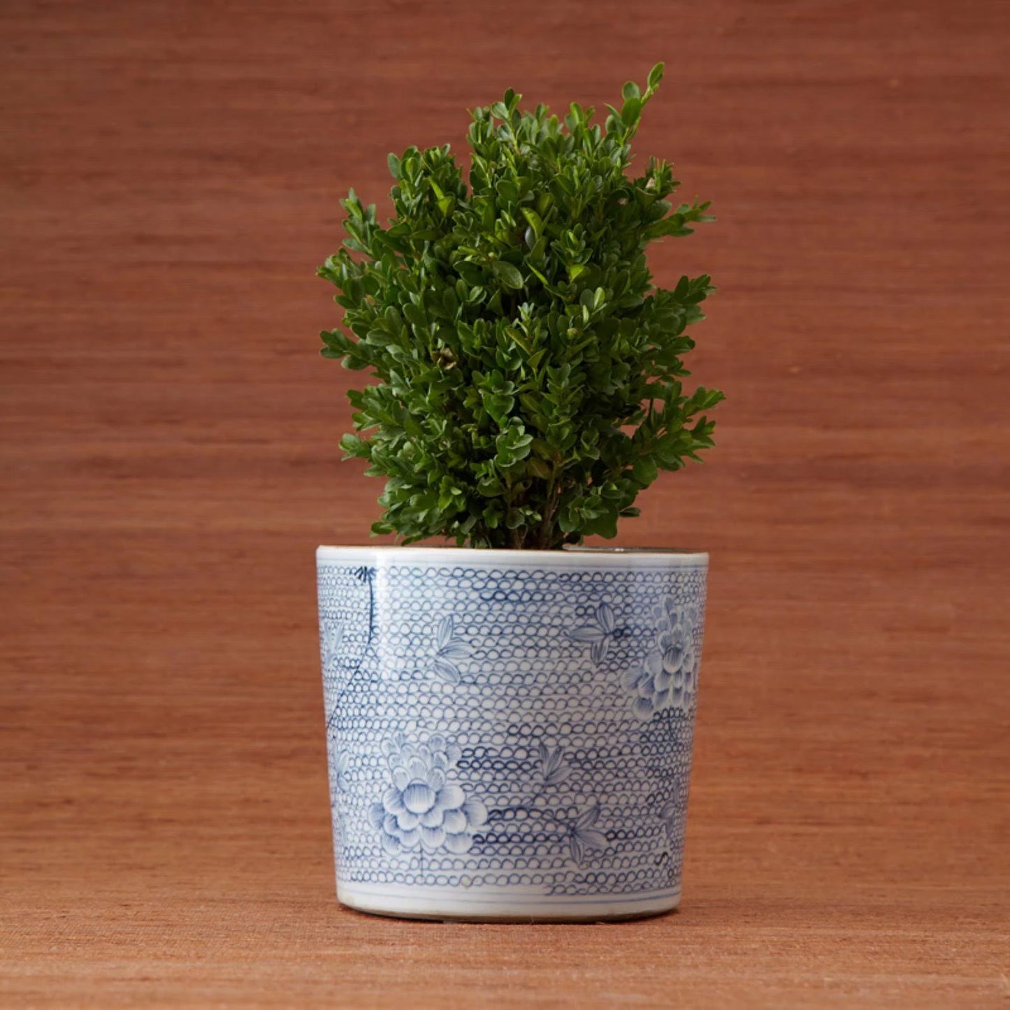 Blue & White Chrysanthemum Vase/Planter