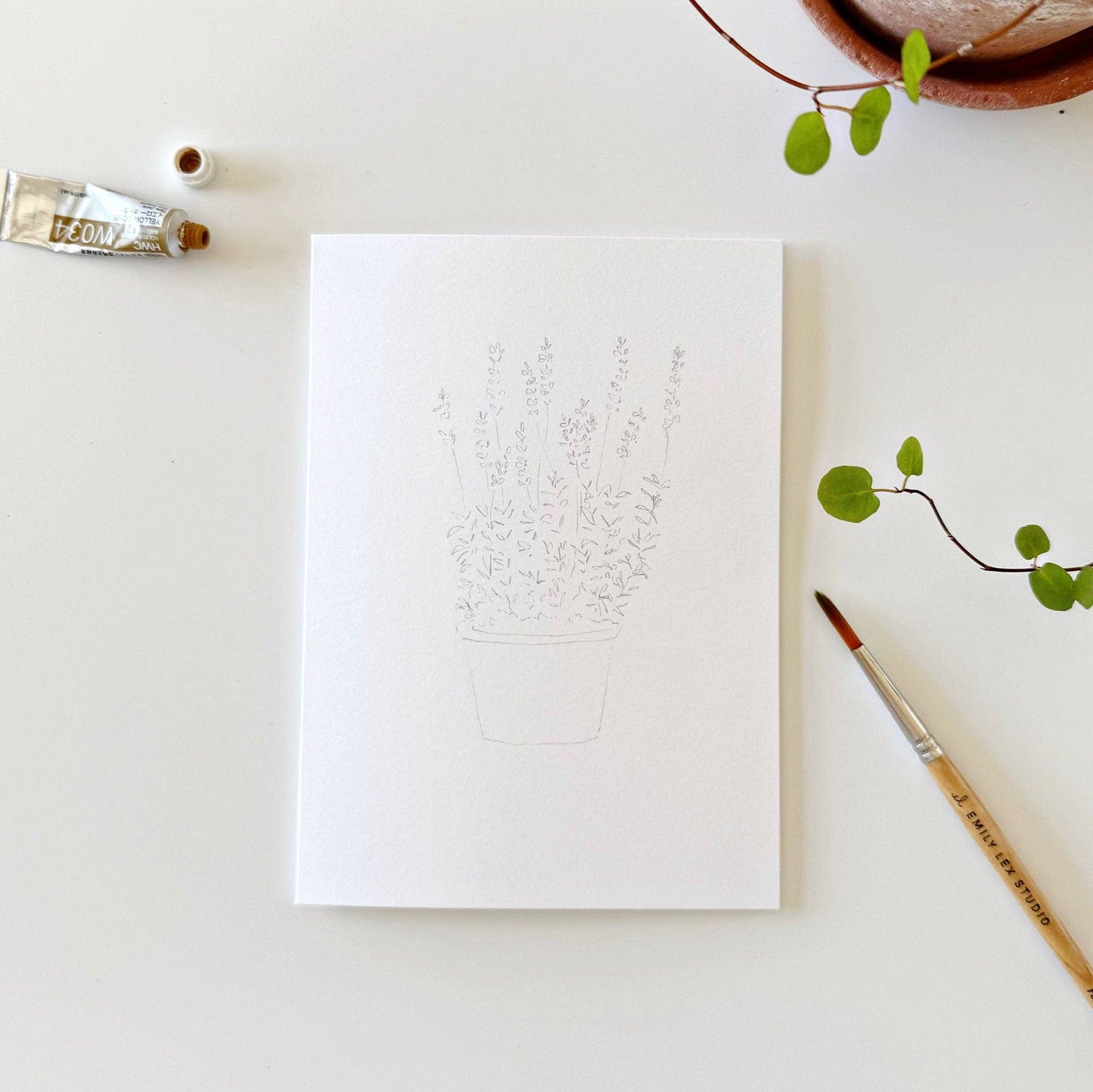 Potted plants paintable notecards