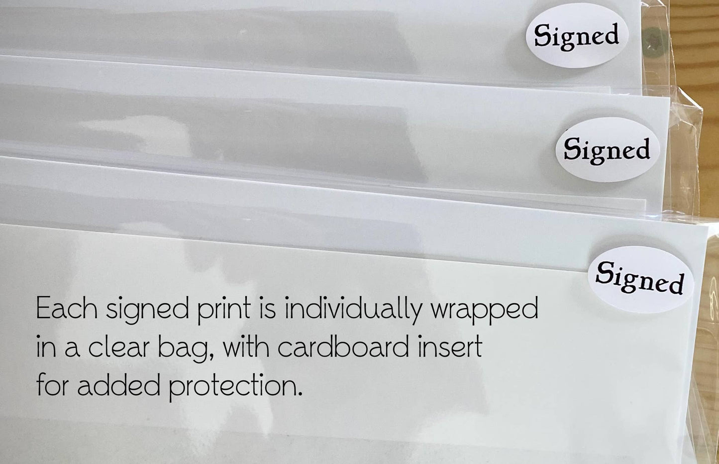 Print (signed) Alligator Pencil Art