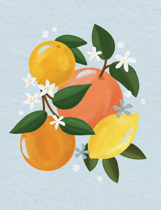 Freshly Squeezed Blank Boxed Note Cards