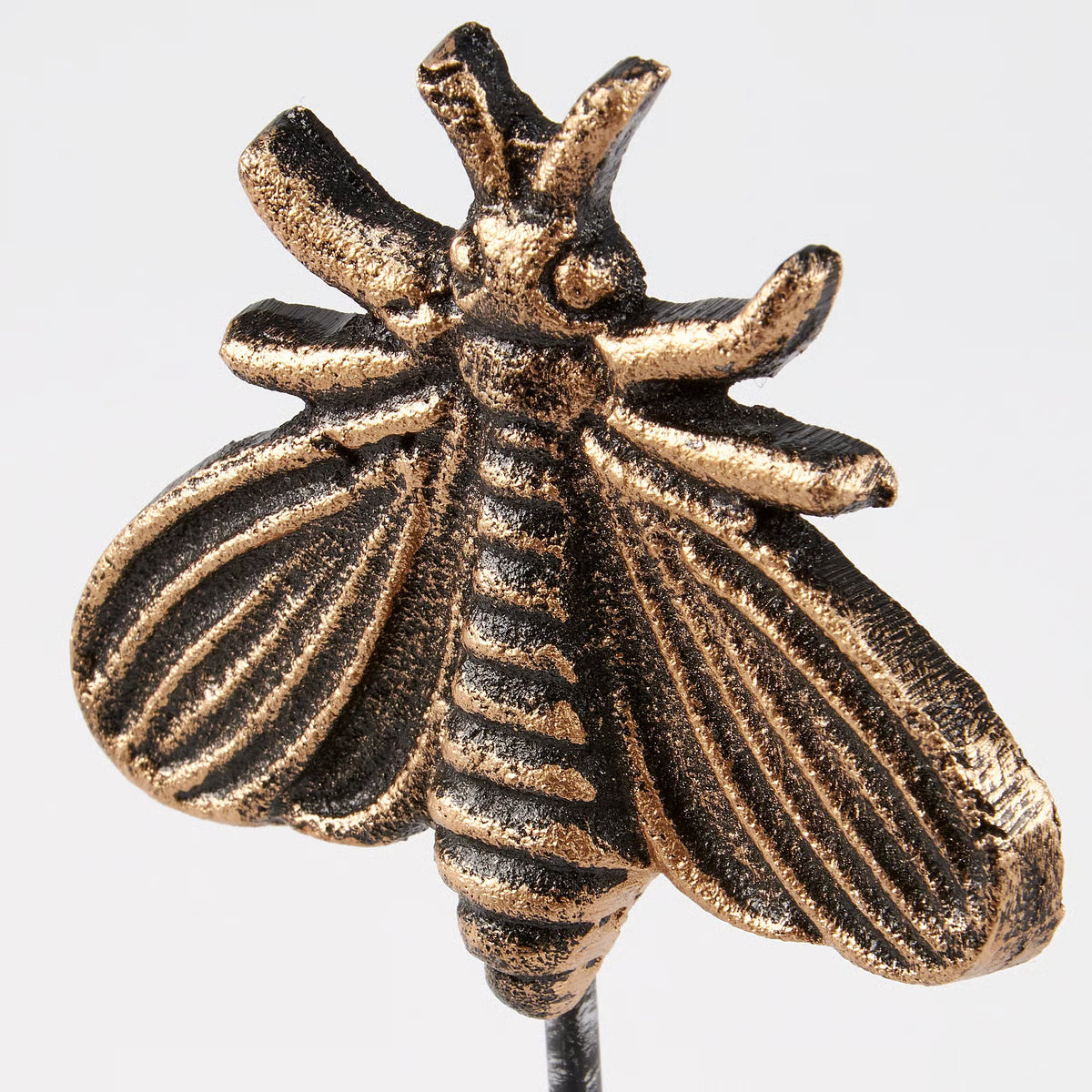 Insect On Stand