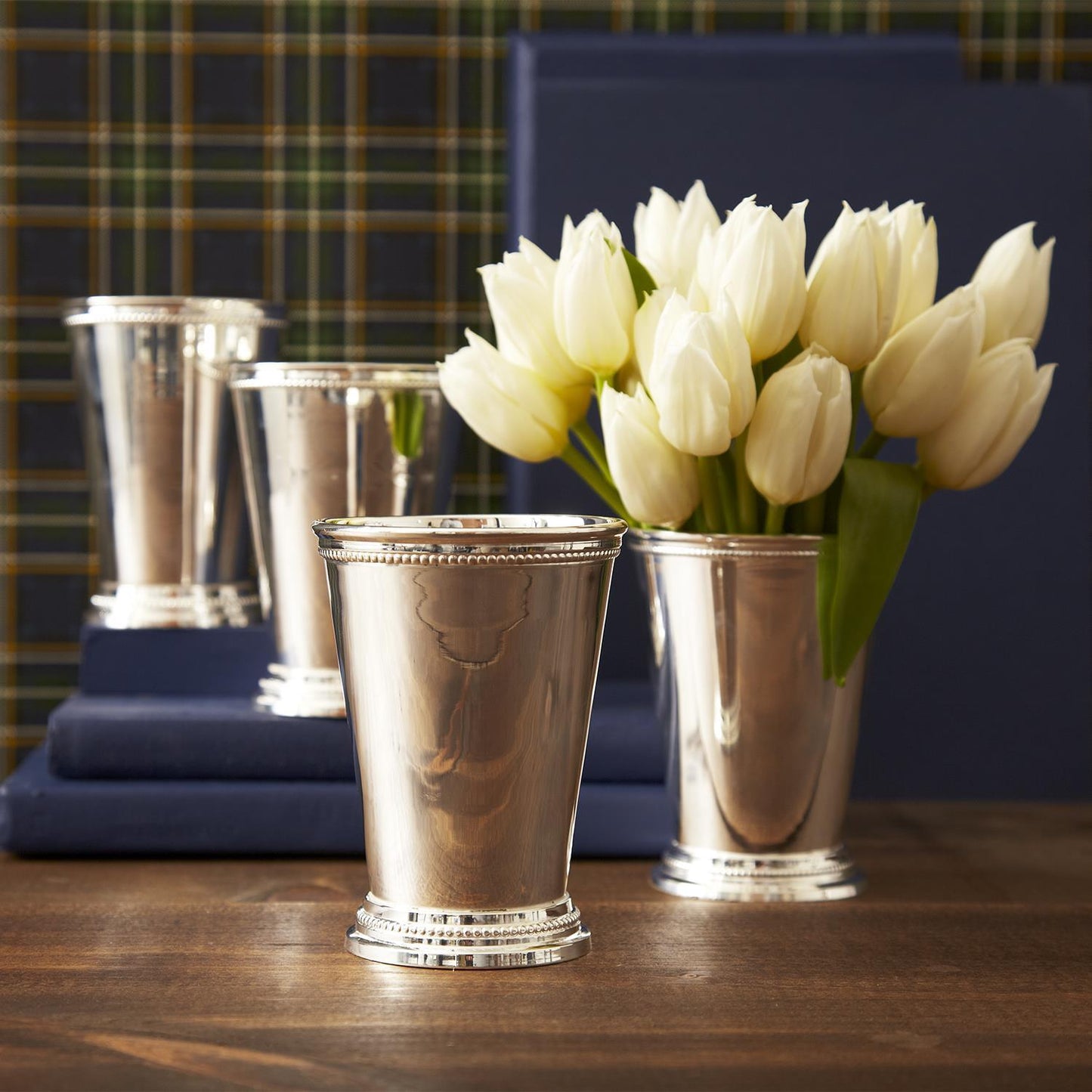 Mint Julep Cup/Vase - Lacquered Silver-Plated Brass