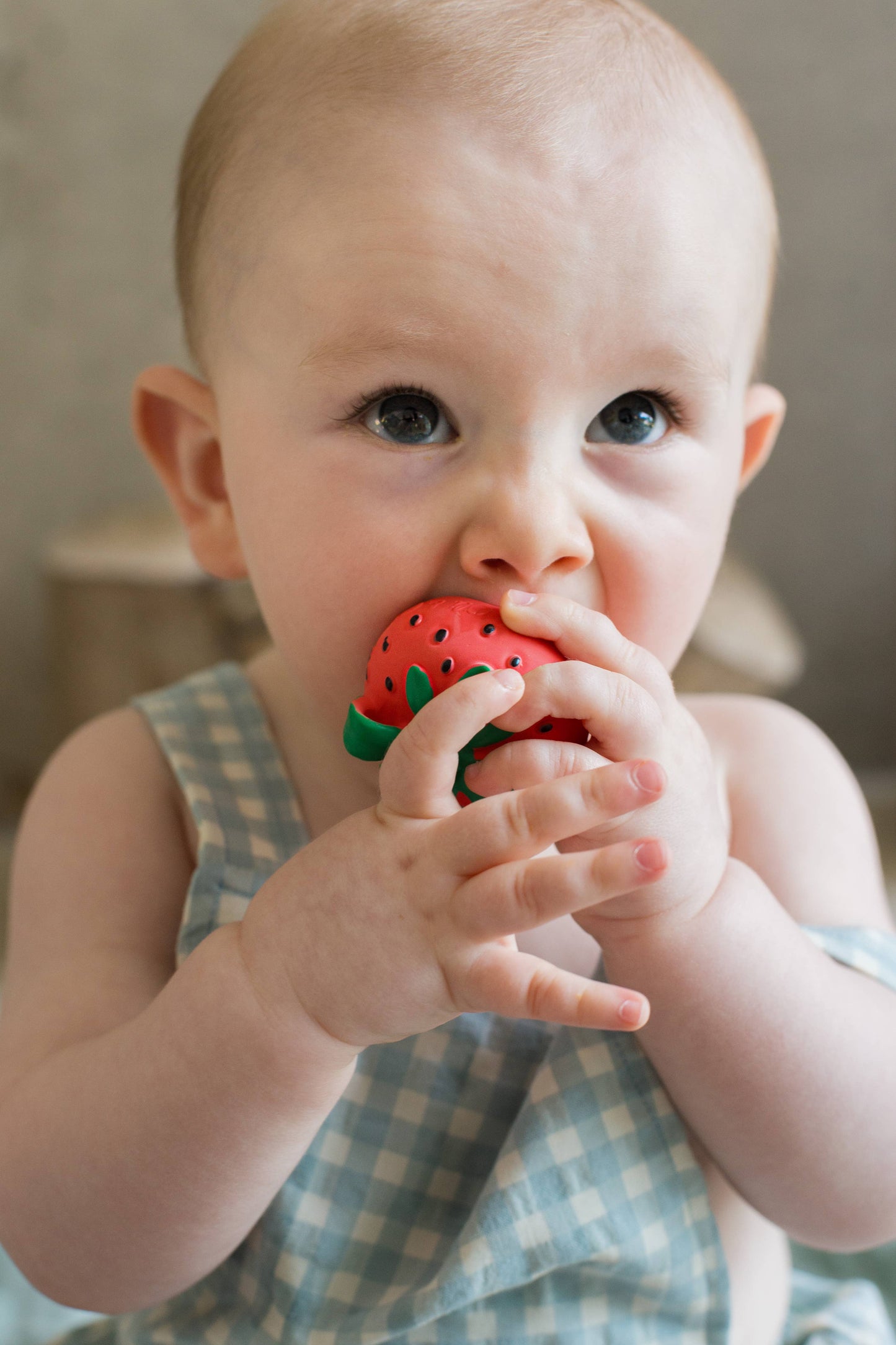 Sweetie the Strawberry Teether