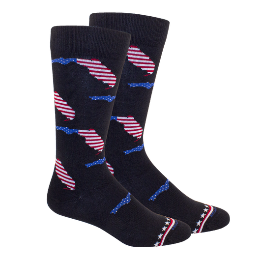 Florida USA Socks