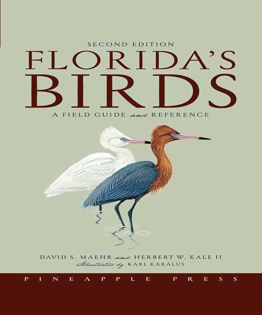 Florida's Birds by David S. Maehr: Paperback