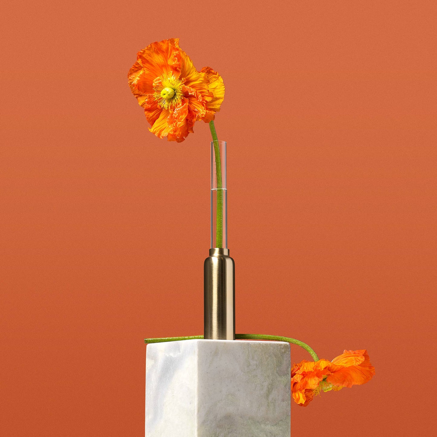 Base Vase 1-Pack (Clear)