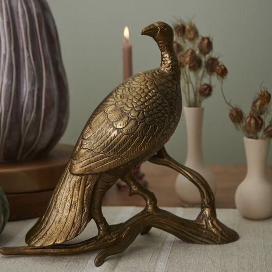 Merriam Turkey Hen