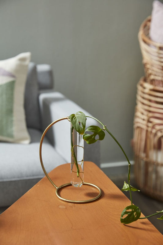 Riviera Propagation Stand