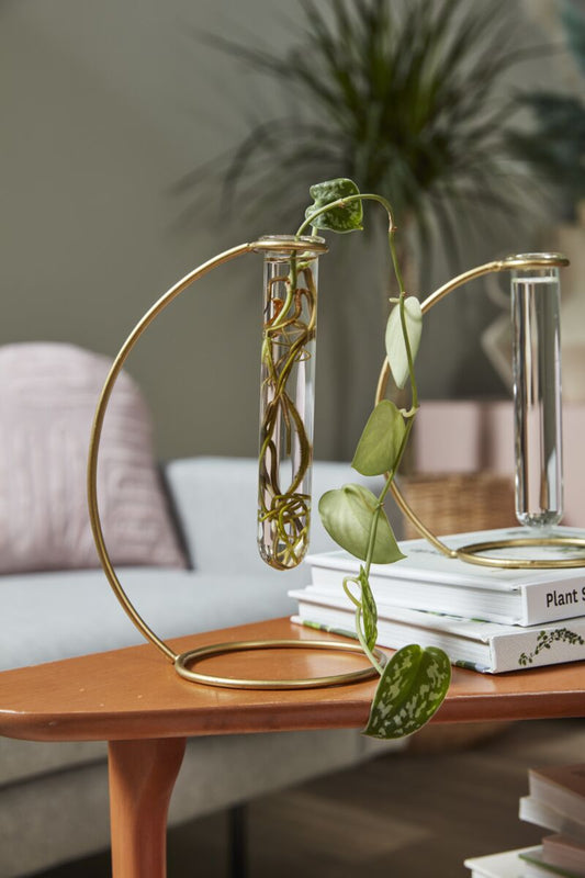 Riviera Propagation Stand