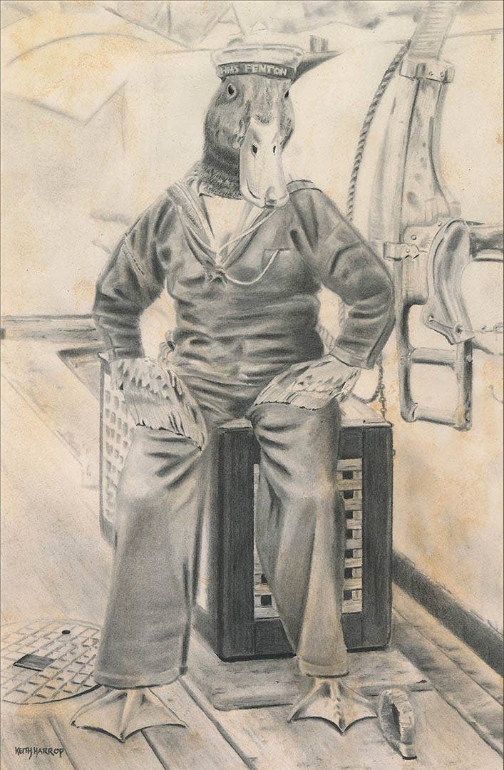 Postcard Sailor Duck.  Pencil drawing