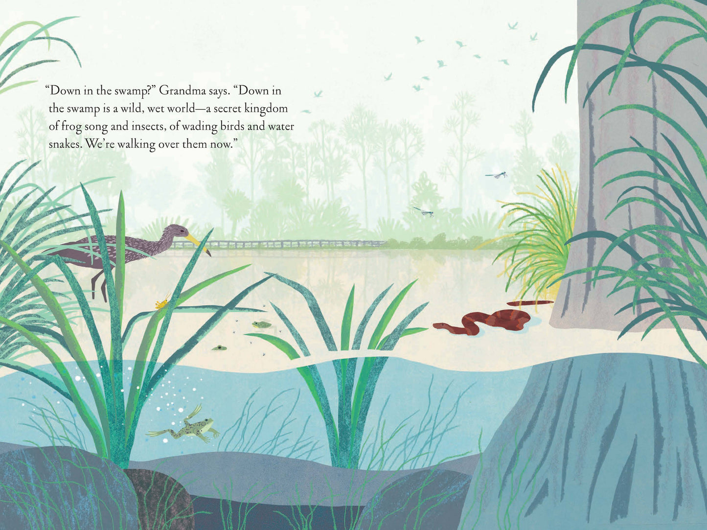 Over and Under the Wetland