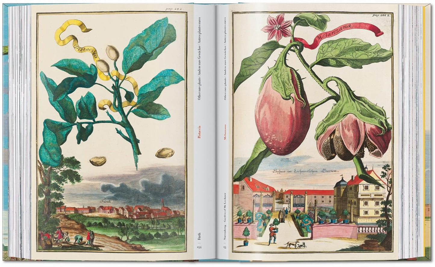 J. C. Volkamer. The Book of Citrus Fruits. 45th Ed.