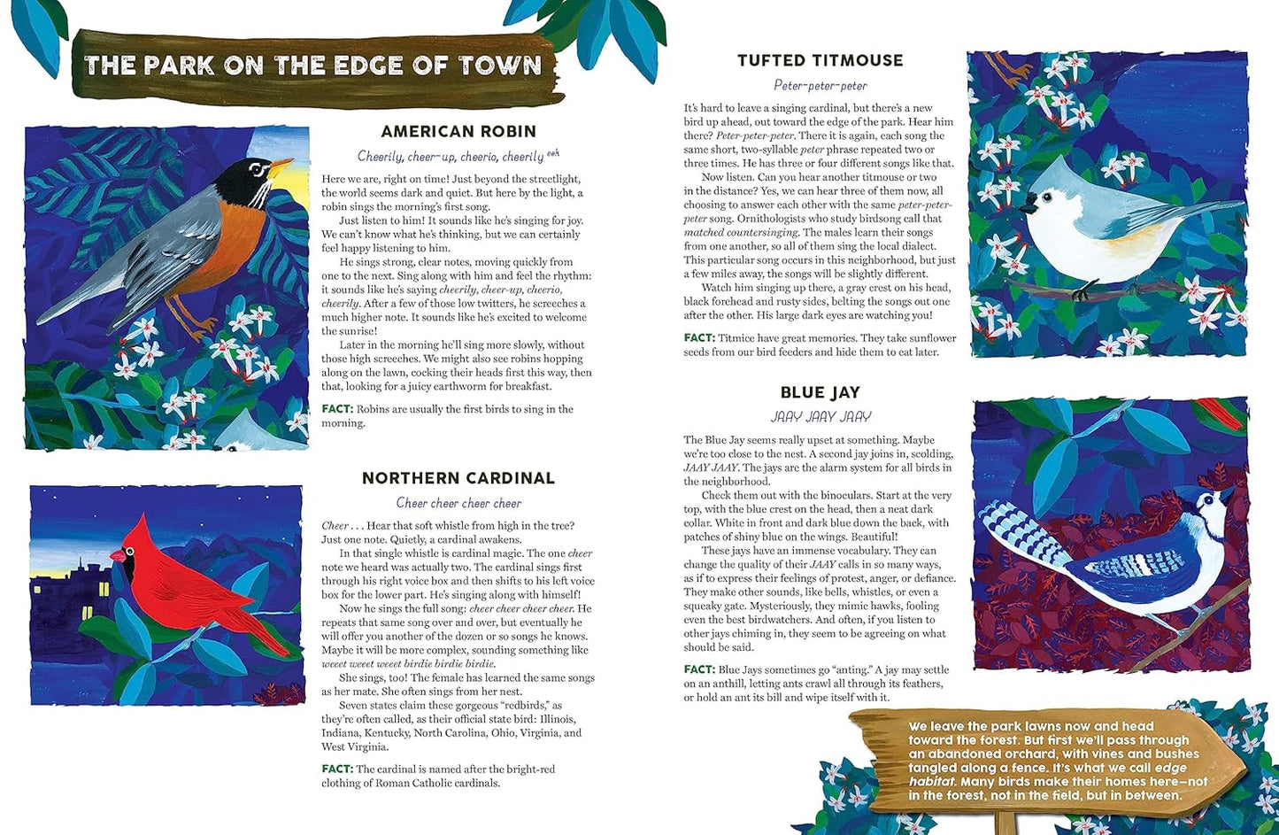 Listen to the Birds Hardcover – Picture Book