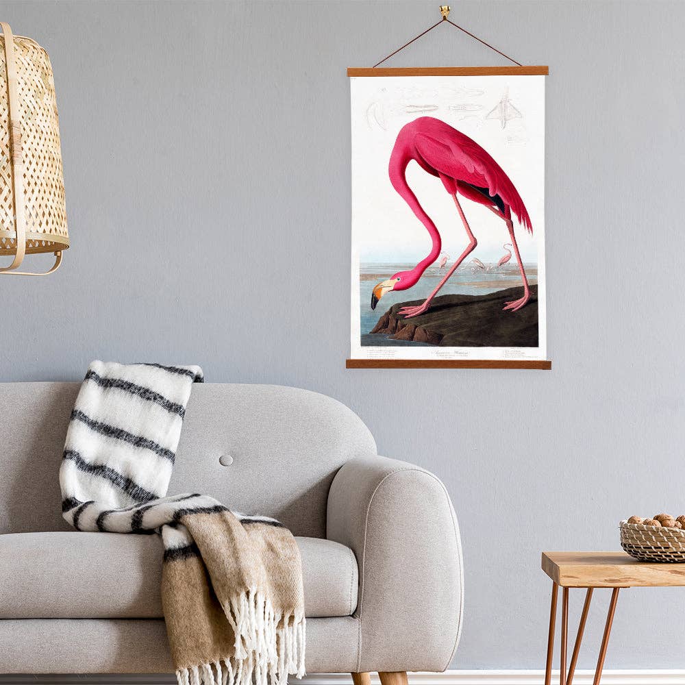 American Flamingo - James Audubon Wall Art Canvas Painting