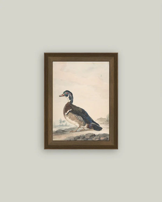 A Duck 12x18