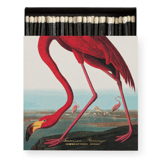Square Box Matches-The American Flamingo by Audubon